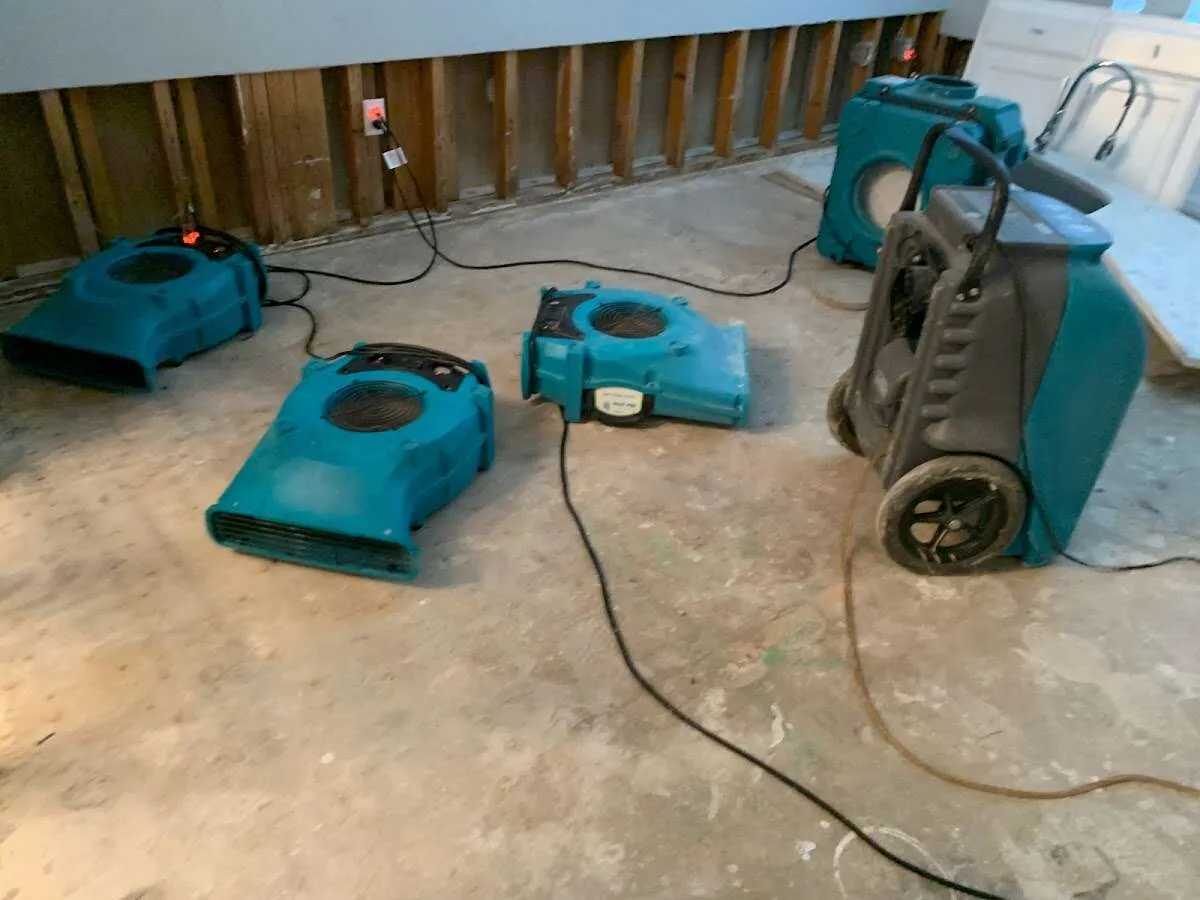 Water Damage Assessment in Countryside, IL